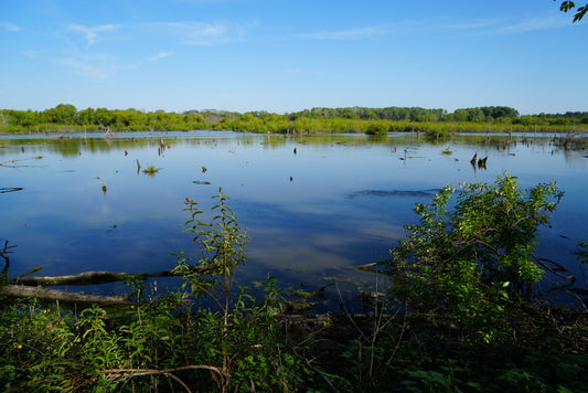 Clear Creek Natural Heritage Center