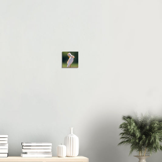 ca9faf56-dcbf-4af9-9c7f-38fc84eb74ce